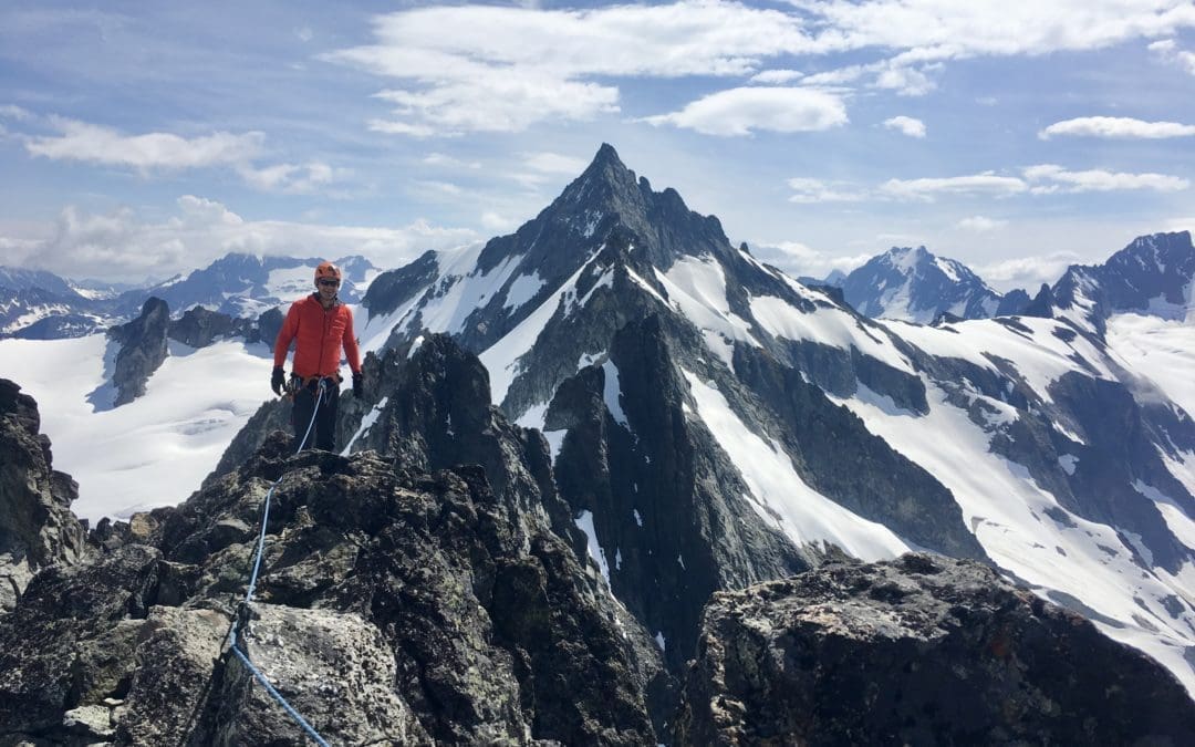 The Alpine Climbing Guide